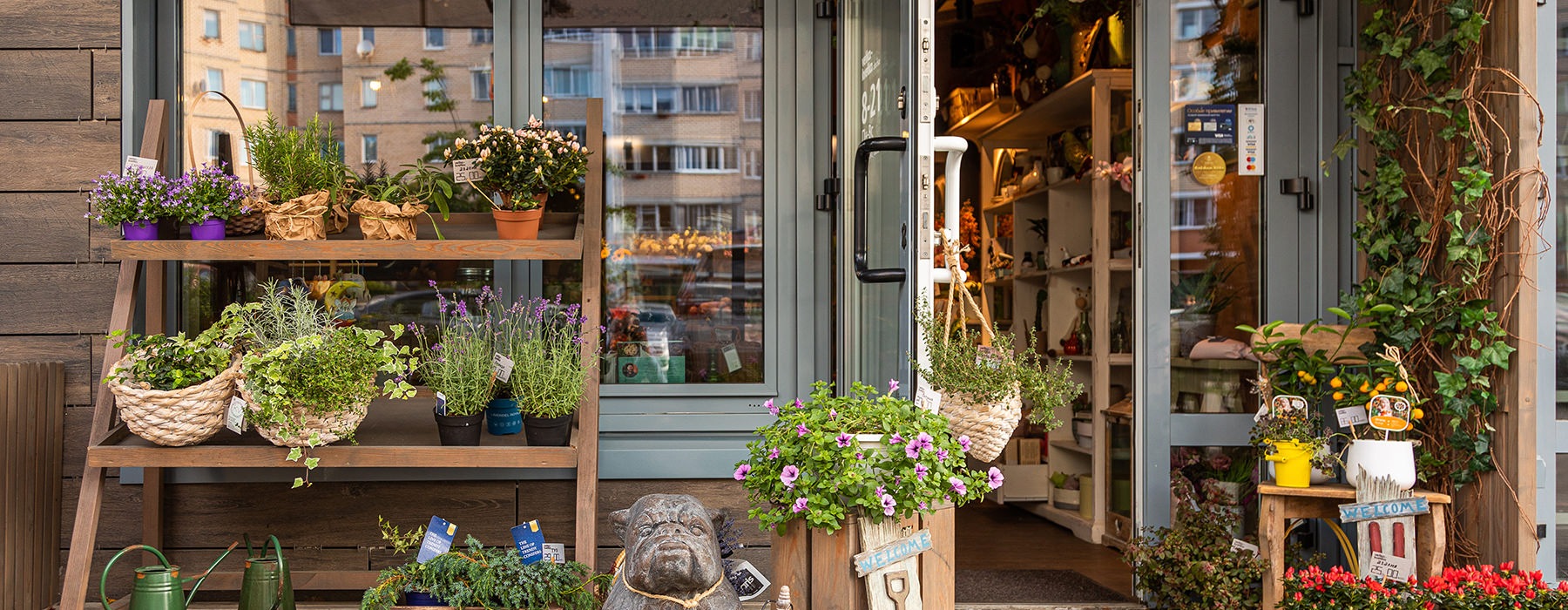 plant store front with plants on display